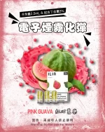 哩亞電子煙彈一代 ILIA煙彈 紅心芭樂
